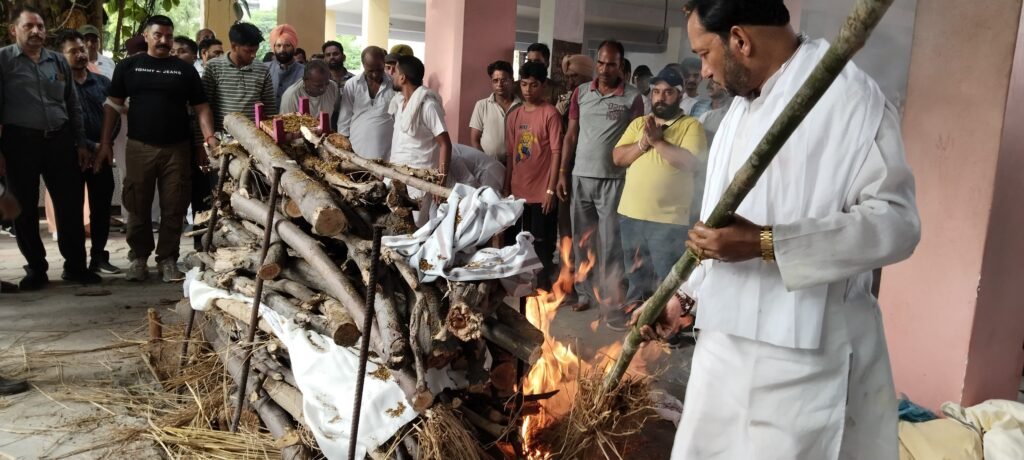 WhatsApp Image 2024-08-17 at 18.10.04